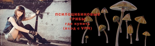 сатива Богородицк