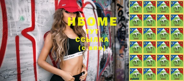 сатива Богородицк