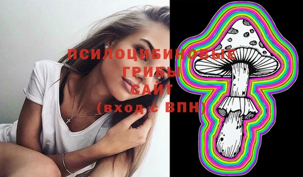 марки lsd Белокуриха