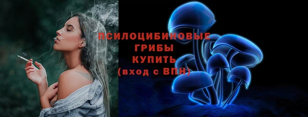 сатива Богородицк