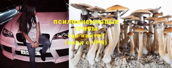 сатива Богородицк