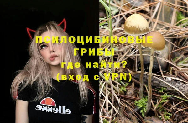 соль курить ск Богданович