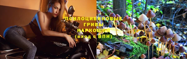 сатива Богородицк
