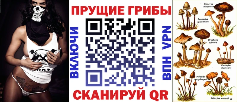 ОМГ ОМГ ССЫЛКА  где найти наркотики  Братск  Галлюциногенные грибы Cubensis 